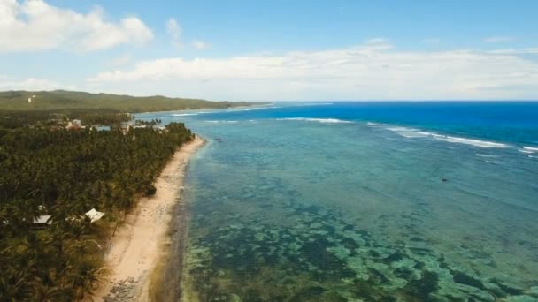 Antenna Nézd szép strand egy trópusi szigeten. Fülöp-szigetek, Siargao. — Stock videók