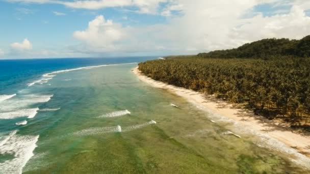 Вид с воздуха красивый пляж на тропическом острове. Philippines, Siargao . — стоковое видео
