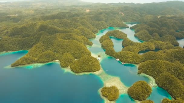 Légi kilátás trópusi lagúna, tenger, strand.Bucas Grande sziget, Sohoton öböl. Fülöp-szigetek. — Stock videók