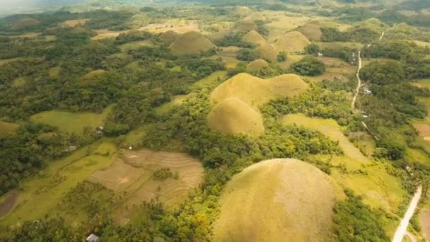 Schokoladenhügel in Bohol, Philippinen, Luftaufnahme. — Stockvideo