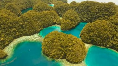 Hava manzaralı tropikal göl, deniz, sahil. Bucas Grande Adası, Sohoton Koyu. Filipinler.