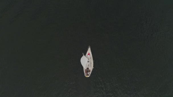 Zeilboot op water — Stockvideo