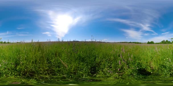 Schöne Sommerlandschaft 360vr — Stockvideo