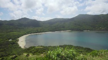 Palau adasının kıyısında. Filipinler.