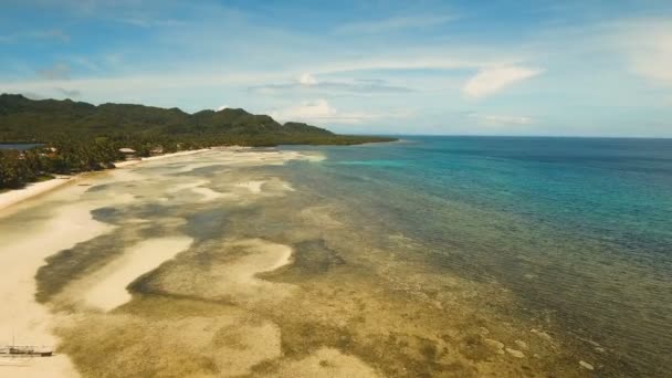 Aerial view beautiful beach on a tropical island. Philippines, Anda area. — Stock Video