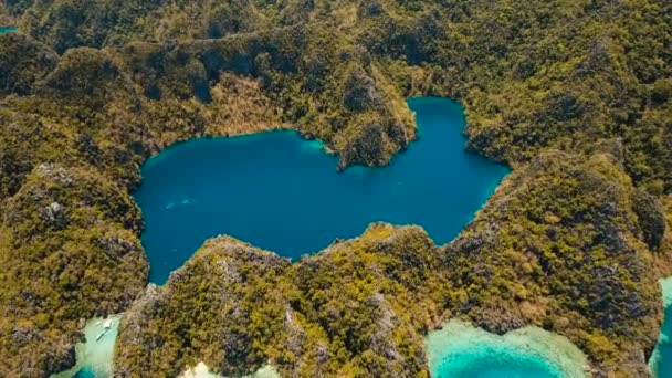 Horské jezero Barracuda na tropickém ostrově, Filipíny, Coron, Palawan. — Stock video