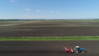 Tarlada patates topluyorum.