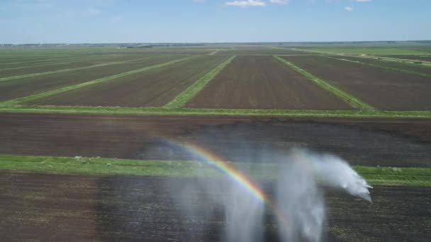 Sistem de irigare pe terenuri agricole . — Videoclip de stoc