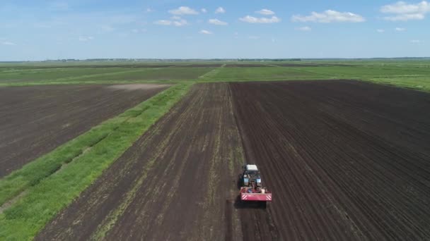 Kartoffelernte auf dem Feld — Stockvideo