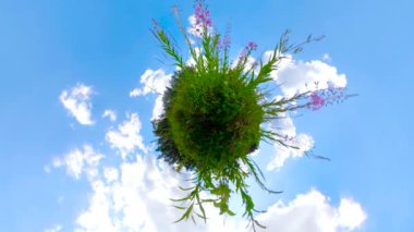 Güzel yaz manzarası