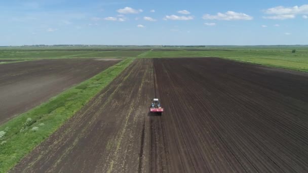 Skörd av potatis på fältet — Stockvideo