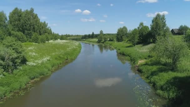 Landskap med flod och träd. — Stockvideo