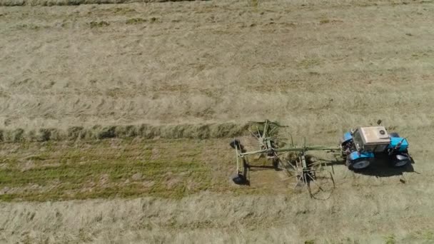 Трактор с граблями на фермерском поле. — стоковое видео