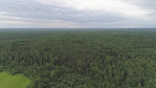 survol de la forêt verte .