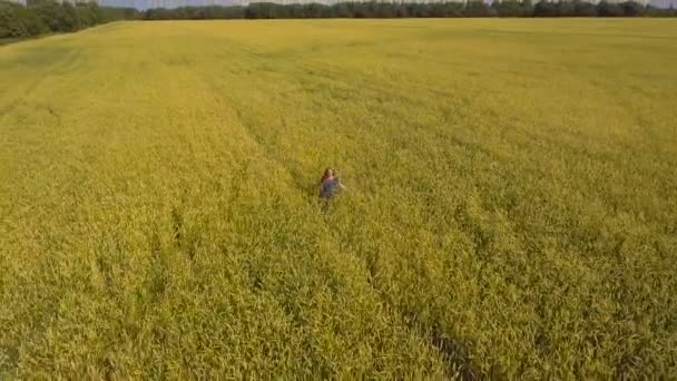 Młoda dziewczyna w polu pszenicy. Lotnicze wideo. — Wideo stockowe