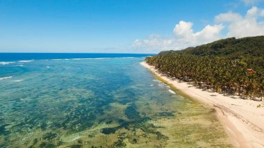 Hava güzel bir plaj tropikal bir adada görüntüleyin. Filipinler, Siargao.