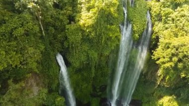 Güzel tropik şelale. Bali, Endonezya.