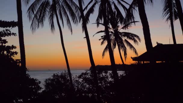 Закат на берегу моря. Бали, Индонезия. — стоковое видео