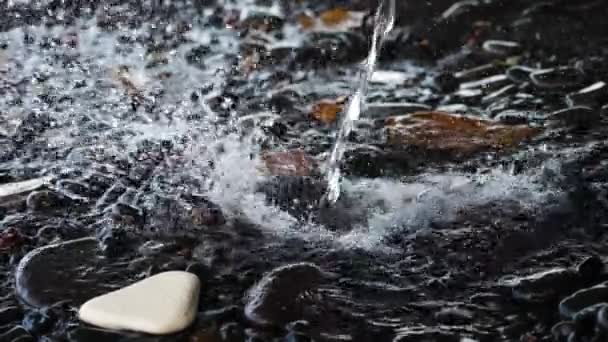 Su akışı taşları üzerine dökülen — Stok video