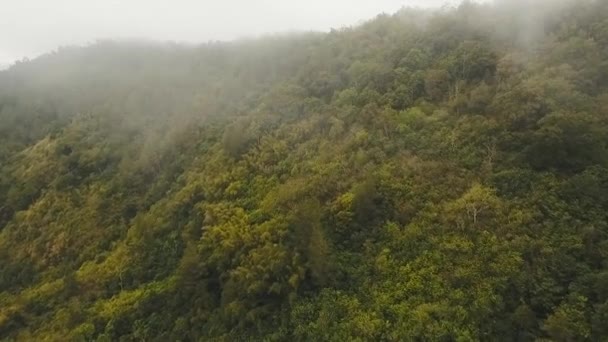 Rainforest in cloud, Bali, Indonézia. — Stock videók