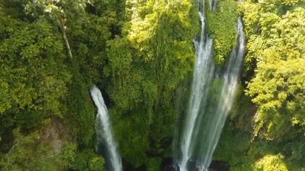 Belle cascade tropicale. Bali, Indonésie. — Video