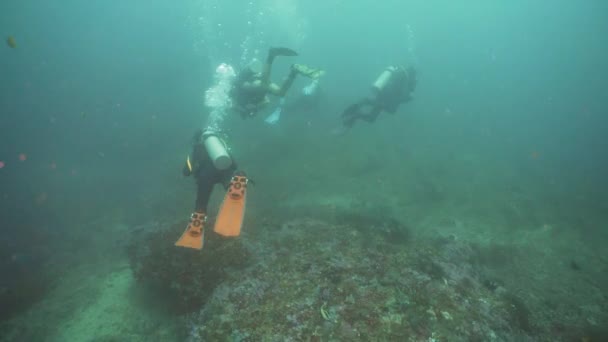 Scuba Divers underwater. Philippines, Mindoro. — Stock Video