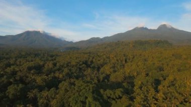 Tropikal orman ile Dağları. Camiguin Adası Filipinler.