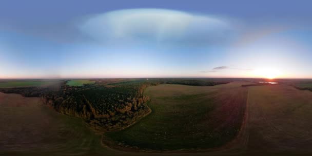 VR360 Гаряча повітряна куля в небі над полем . — стокове відео