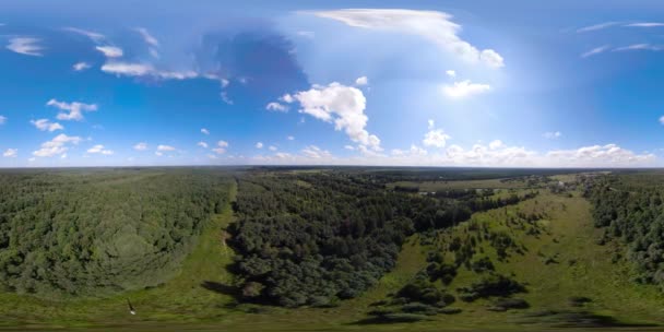 Vr360 flygning över den gröna skogen. — Stockvideo