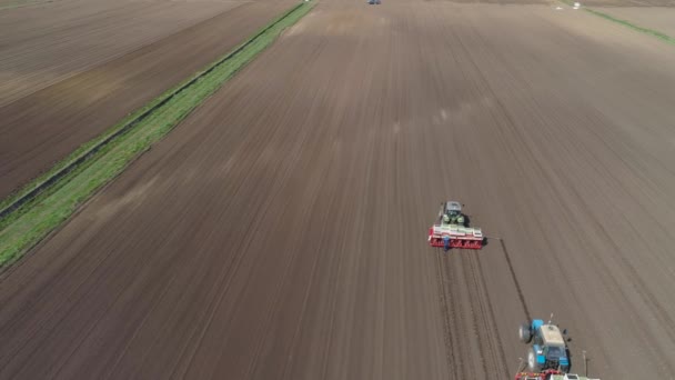 Cultiver la salade sur le champ de la ferme . — Video