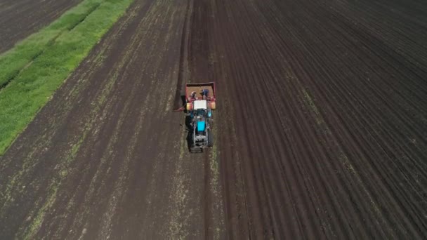 在田里收割马铃薯 — 图库视频影像