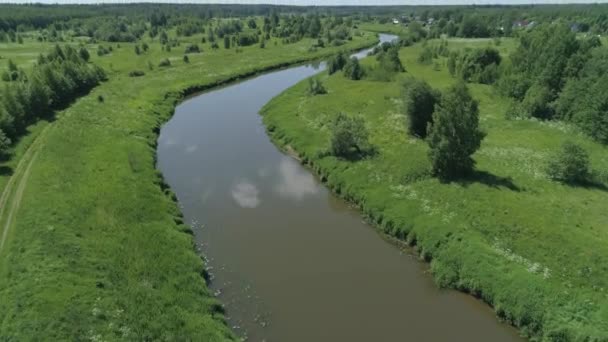 Landschap met rivier en bomen. — Stockvideo