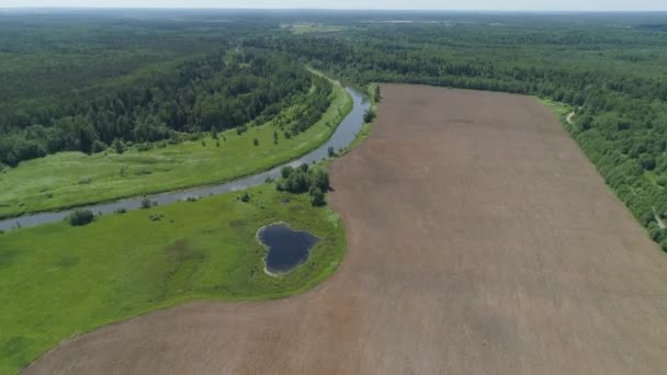 Paisaje con río y árboles. — Vídeo de stock