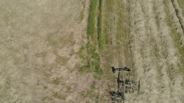 Trator com tedders de ancinho no campo da fazenda. — Vídeo de Stock