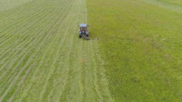 Traktor klipper gräset — Stockvideo