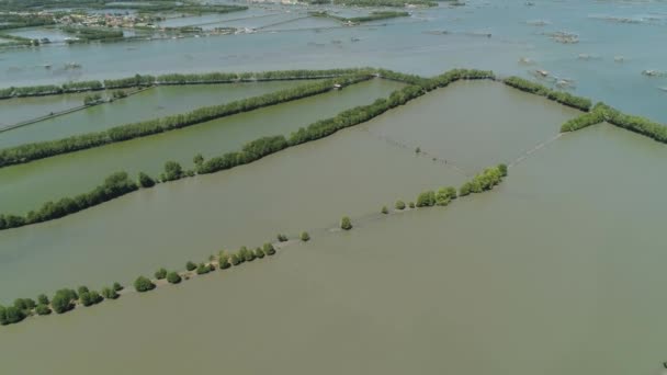 Stad onder het water in de mangroven. — Stockvideo