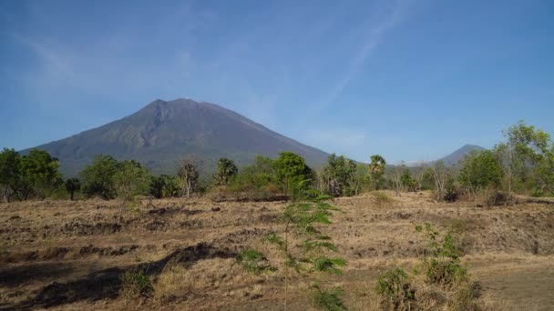 Вид на горный лесной ландшафт. Бали — стоковое видео