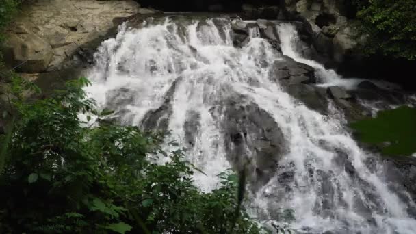 Красивый тропический водопад. Бали, Индонезия. — стоковое видео