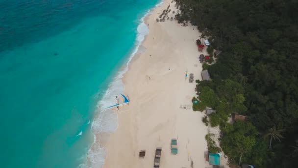 Tropischer Sandstrand mit Palmen — Stockvideo