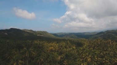 Tropikal peyzaj palmiye ağaçları ile. Filipinler