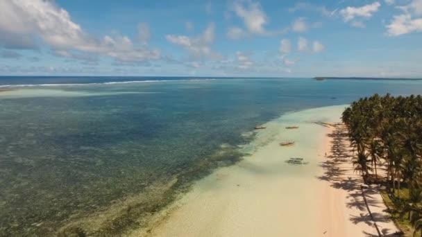 Тропический пляж с бирюзовым морем — стоковое видео