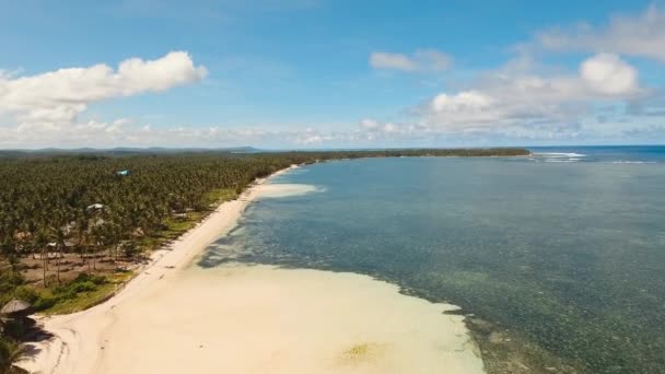Тропический пляж с бирюзовым морем — стоковое видео