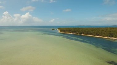 Tropikal plaj ve turkuaz deniz