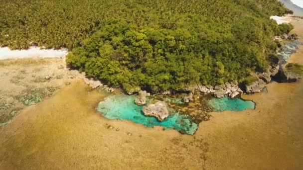 自然の岩のプール。Siargao フィリピン. — ストック動画