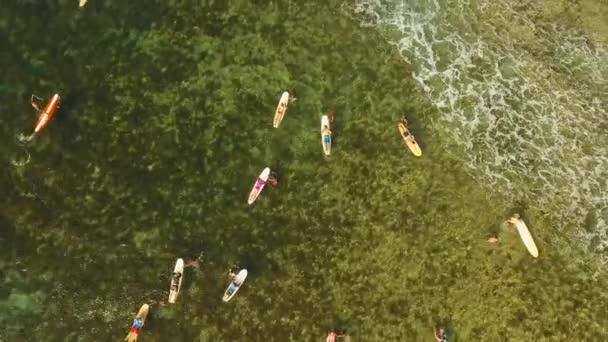 Серфингисты на поверхности воды — стоковое видео