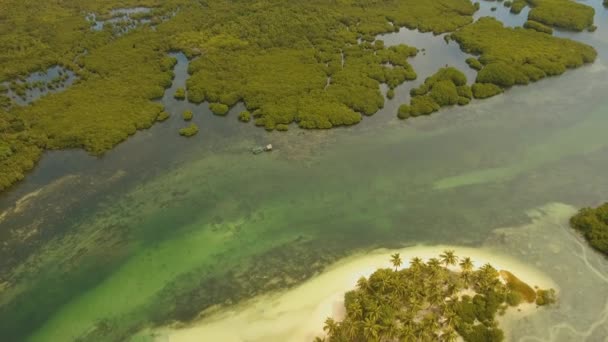 Plage tropicale avec et mer turquoise — Video