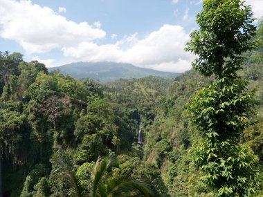 Güzel tropik şelale. Bali, Endonezya.