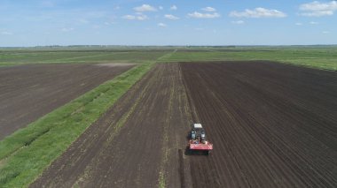 Tarlada patates topluyorum.