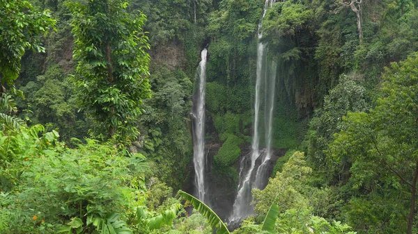 Beautiful tropical waterfall. Bali,Indonesia.