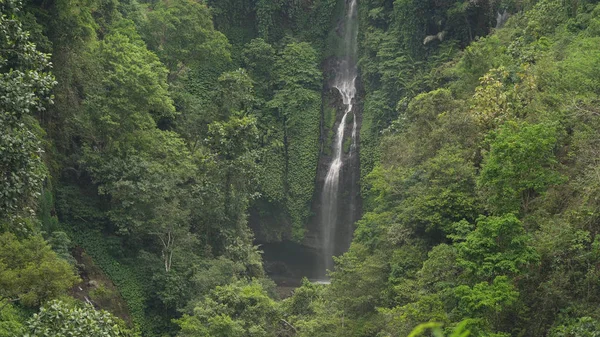 Beautiful tropical waterfall. Bali,Indonesia.